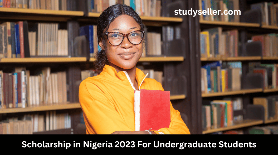 Scholarship in Nigeria 2023 For Undergraduate Students