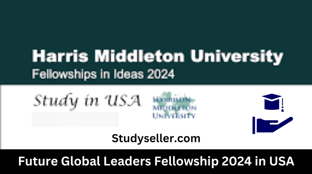Harrison Middleton University Fellowship in Ideas 2024